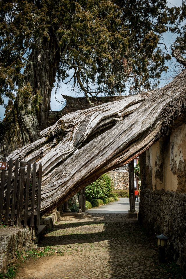 海拔千米，穿越千年時空的浙江最美古寺