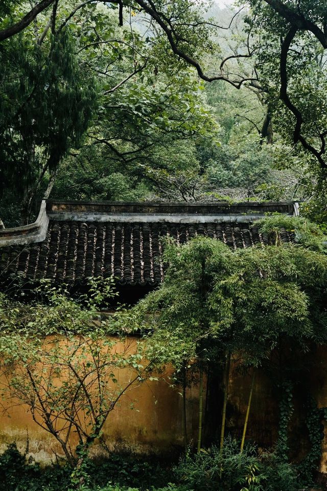 天台山｜秋日國清