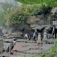 【東京陽光水族館】- 帶你穿越海洋的神奇之旅！