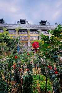 免費入場預約歐式莊園，超適合拍照打卡遛娃