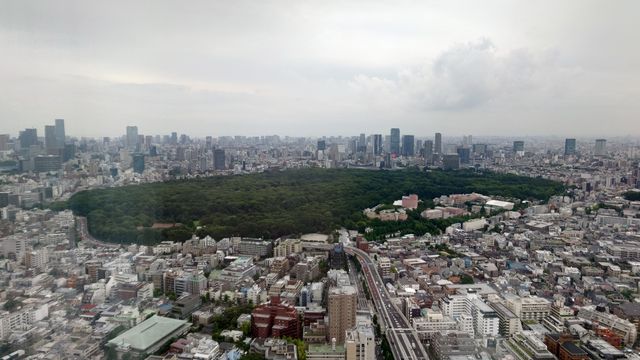 迷失東京，東京柏悅酒店的空中泳池簡直無敵美