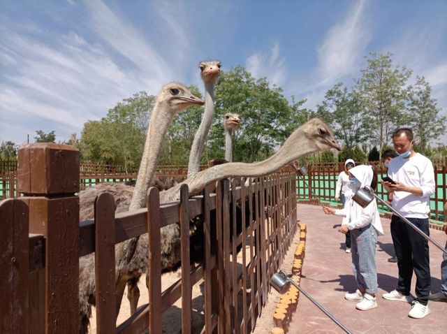 蘭州十一月遊｜據推測近期旅遊打卡地爆火
