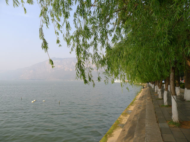 滇池畔的綠色——昆明海埂公園