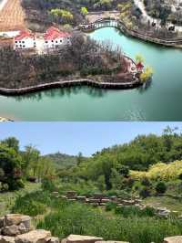 青島梅園～早春梅開