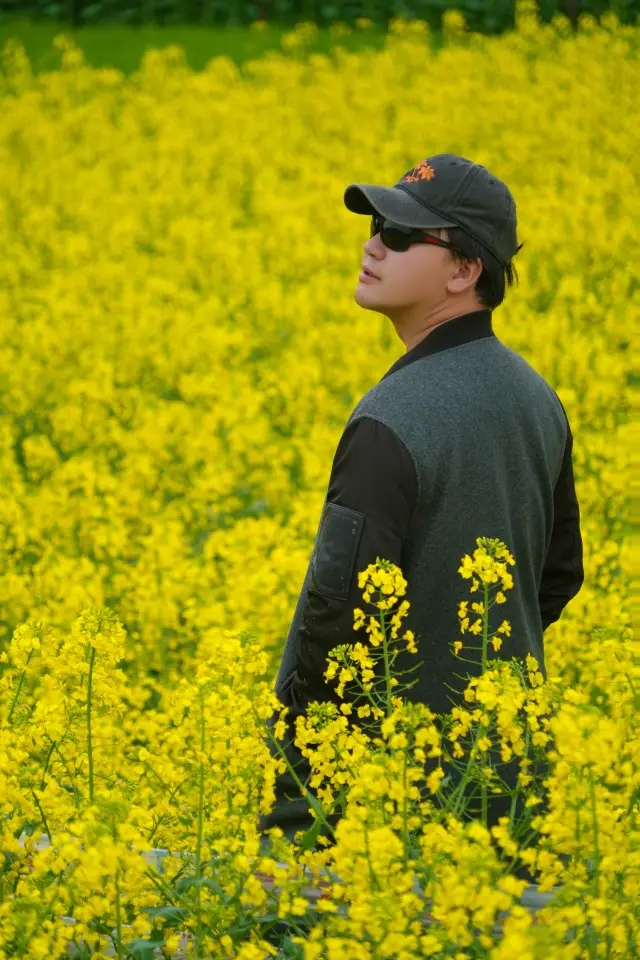 Shaanxi Travel | Hanzhong Rapeseed Flower Viewing Guide in Yanchang Town