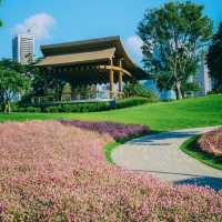 深圳桂灣公園｜城中“水廊道”