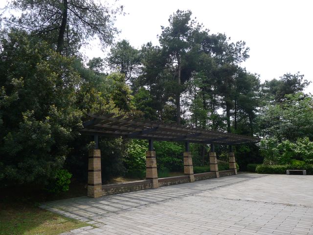 樟林秘境——登高雲山·雲繞迷樟