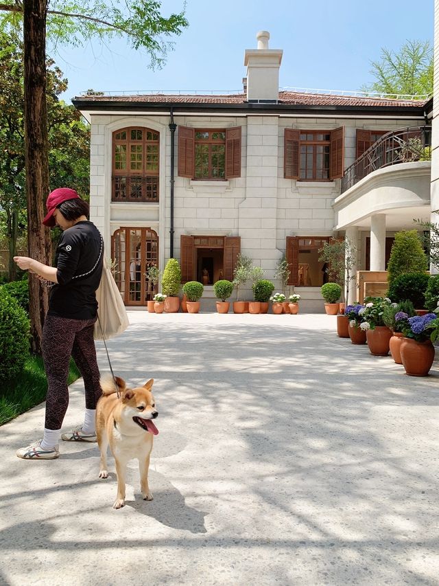 魔都新店，衡山路上的夢幻莫奈花園