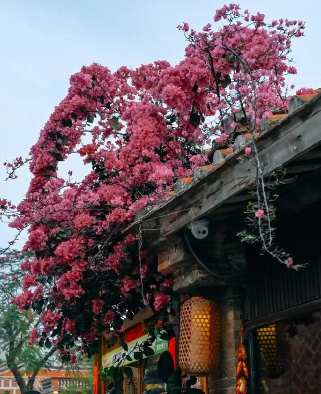 Step into Jinjiang Wudian City and experience the charm and allure of history!