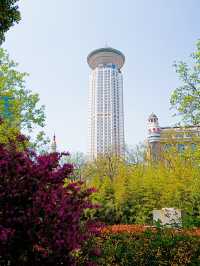 人民公園，你玩真花啊