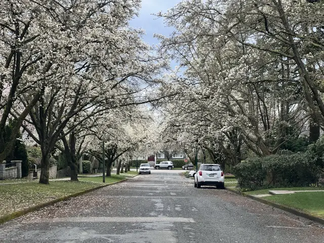 逃離都市：溫村自然風景與奢華的完美融合