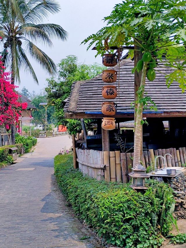 中緬第一寨丨西雙版納勐景來