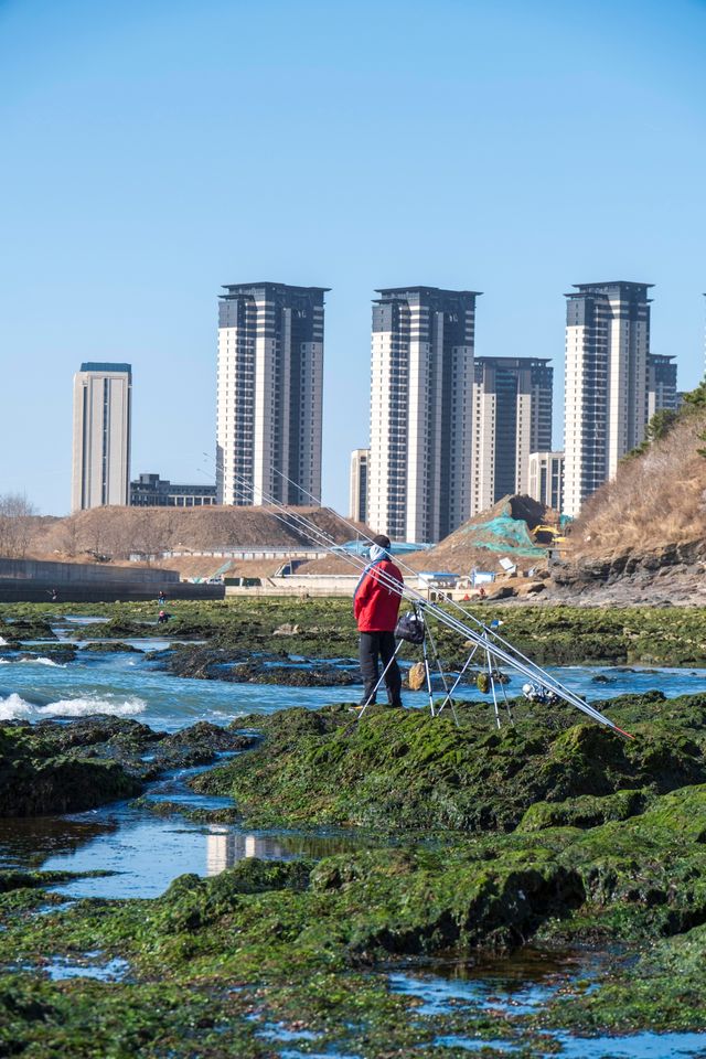 大連｜七賢嶺森林公園隱藏著通向大海的階梯