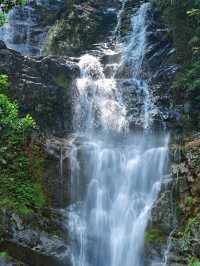 肇慶鼎湖山：廣東四大名山之首，吸氧聖地