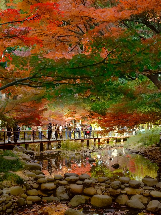 上海市中心的公園都這麼美的嘛！！