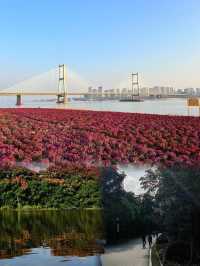 蚌埠張公山公園歪歪精丨旅遊攻略