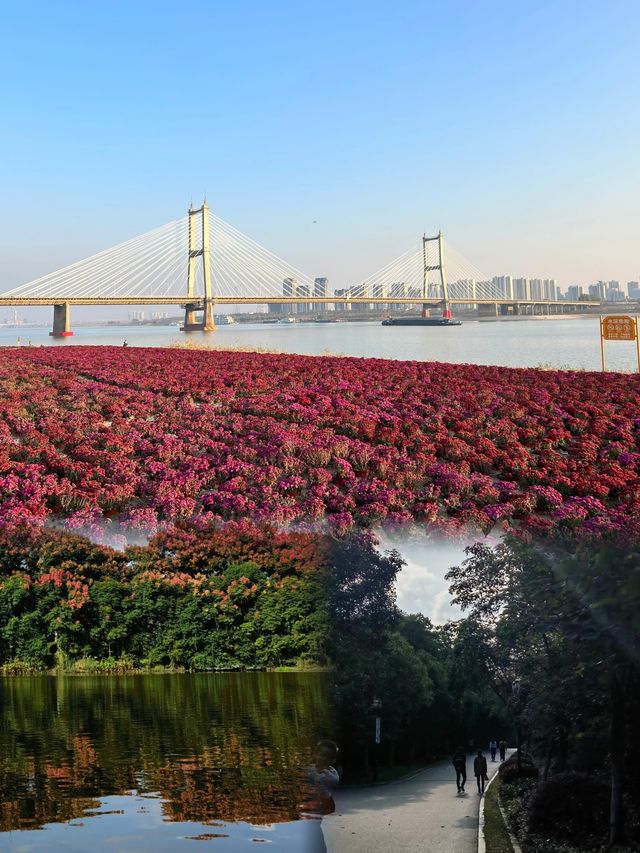 蚌埠張公山公園歪歪精丨旅遊攻略