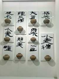 陝西歷史博物館秦漢館超詳細旅遊攻略來啦
