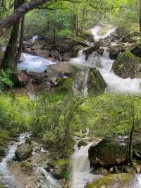 森林氧吧—山清水秀的溫州最高峰—烏岩嶺攻略