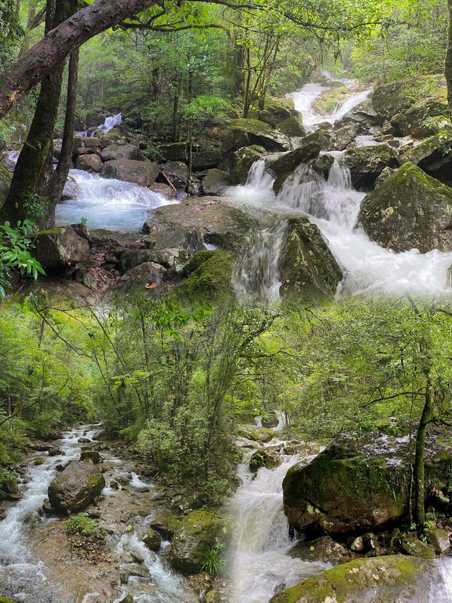 森林氧吧—山清水秀的溫州最高峰—烏岩嶺攻略