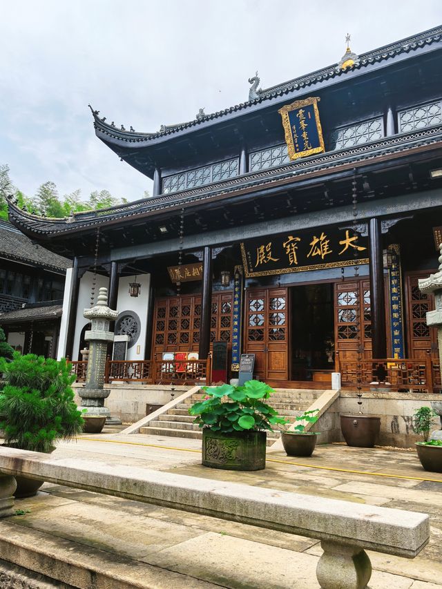 杭州出發1h，去綠光森林裡去去班味！！