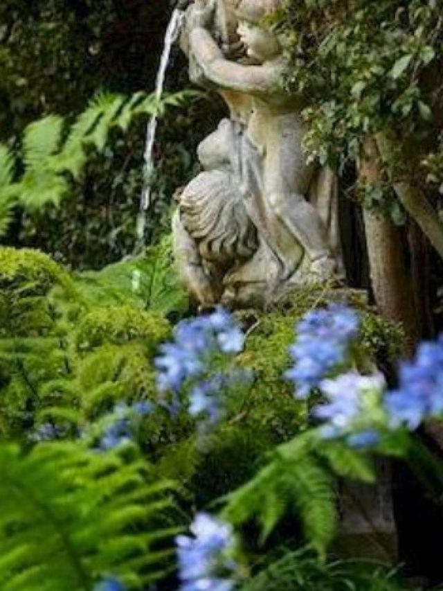 🌟 Santa Barbara's Hidden Gem: Simpson House Inn 🌟