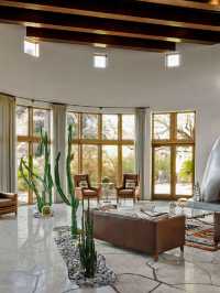 🌵 Scottsdale's Oasis: Top Hotel Picks! 🏨✨