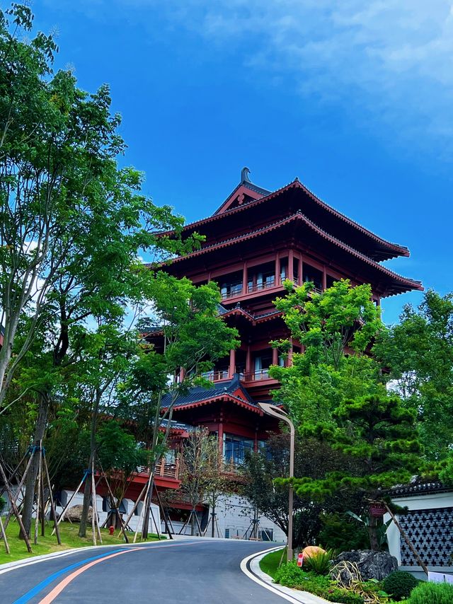 來成都，看世界