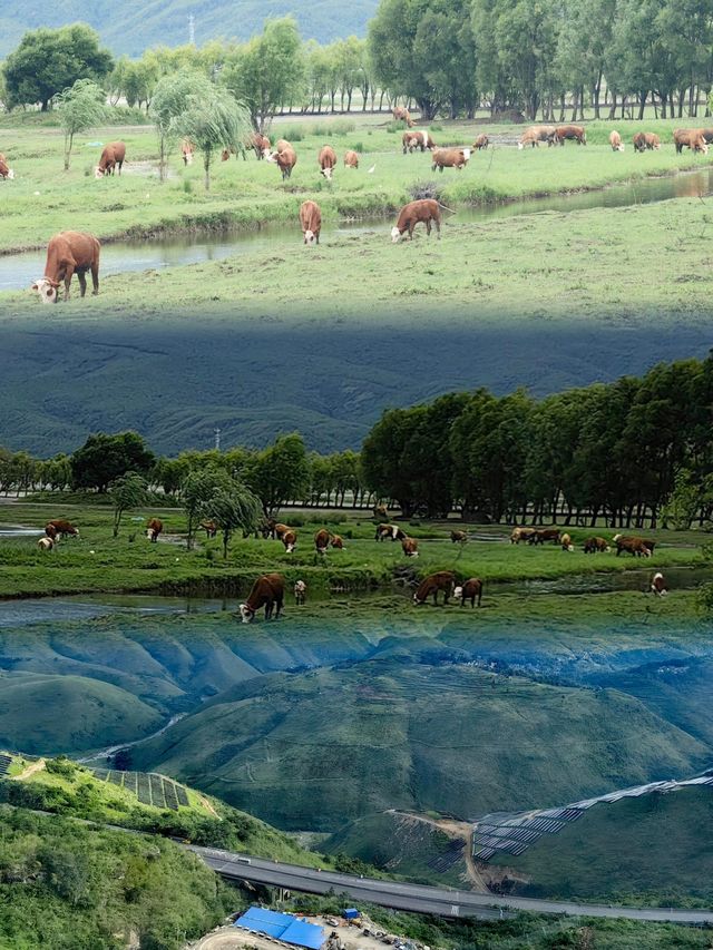 彩雲之南：雨季中的避暑天堂