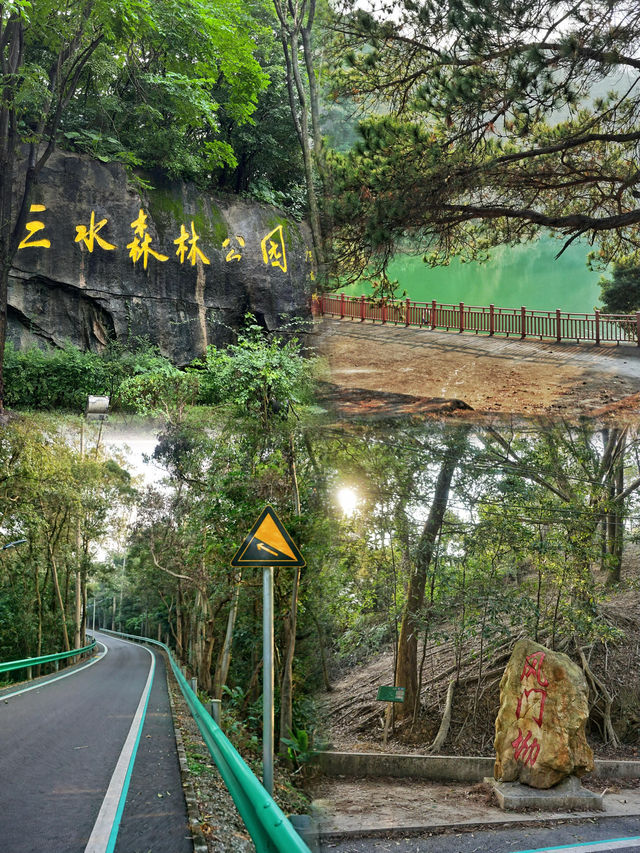 佛山三水森林公園｜免費感受天然氧吧
