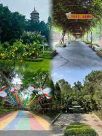 佛山三水森林公園｜免費感受天然氧吧