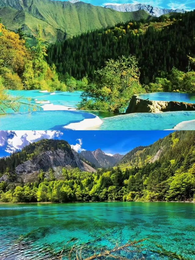 去完黃龍旅遊回來，我想辭職了