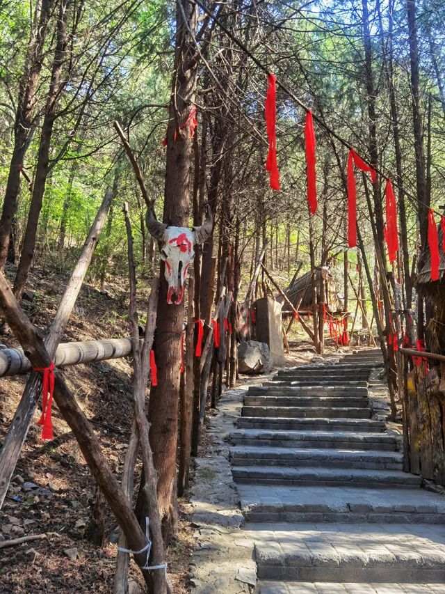 北京聖泉山風景區感受天然氧吧。