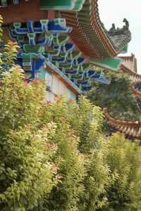 大悲禪寺。