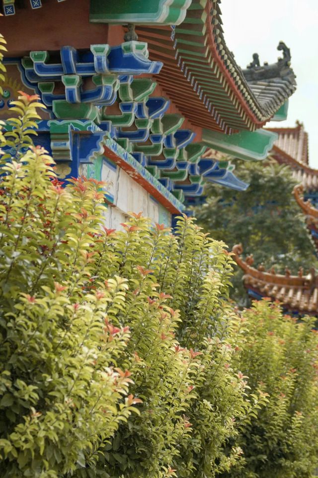 大悲禪寺。