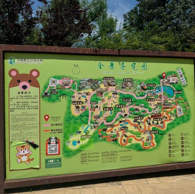 濟南野生動物世界｜與大自然的奇妙約會。