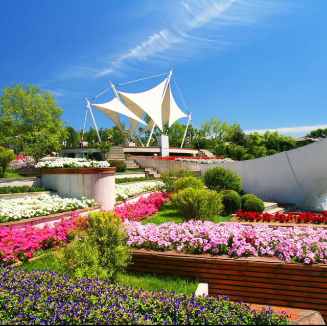 Flower blossoms at Shenyang Garden Expo 