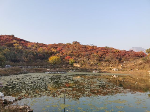 坡峰嶺。