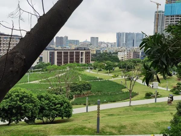 深圳六號線必逛景點與商場🌟