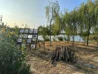 天津西青郊野公園 | 搭帳篷釣螃蟹。