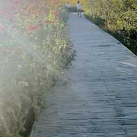 A hidden gem in the outskirts of Yanji