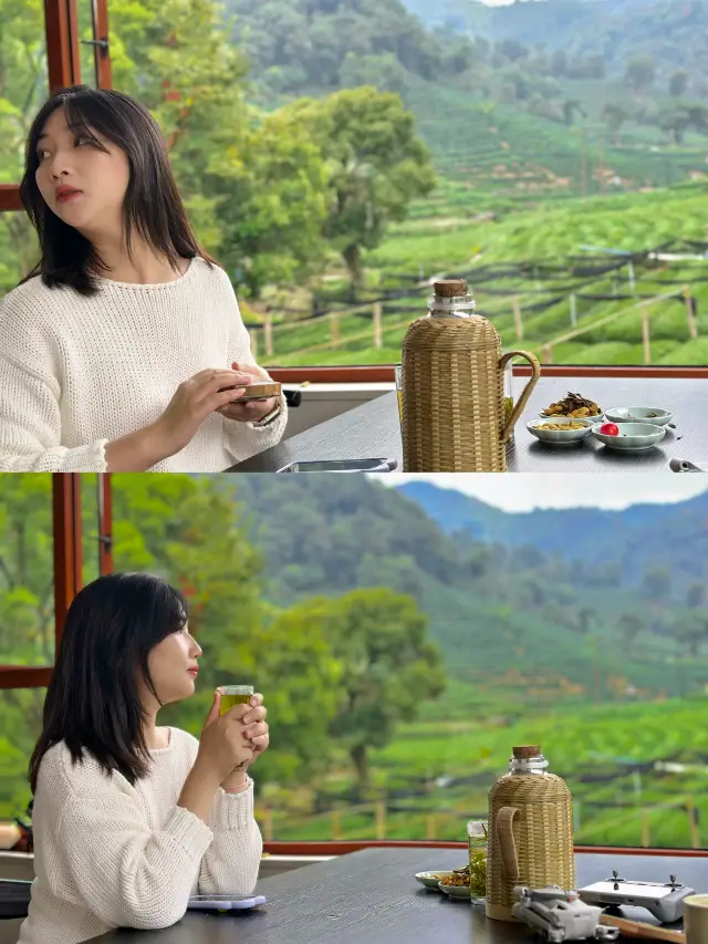 Hangzhou Tea Picking | This 10-second healing hike will have you hooked. 