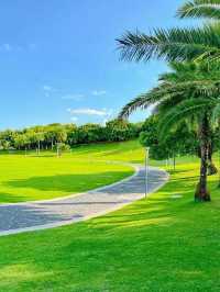 深圳灣公園⛲️怎么玩❓—-超詳細攻略奉上📜
