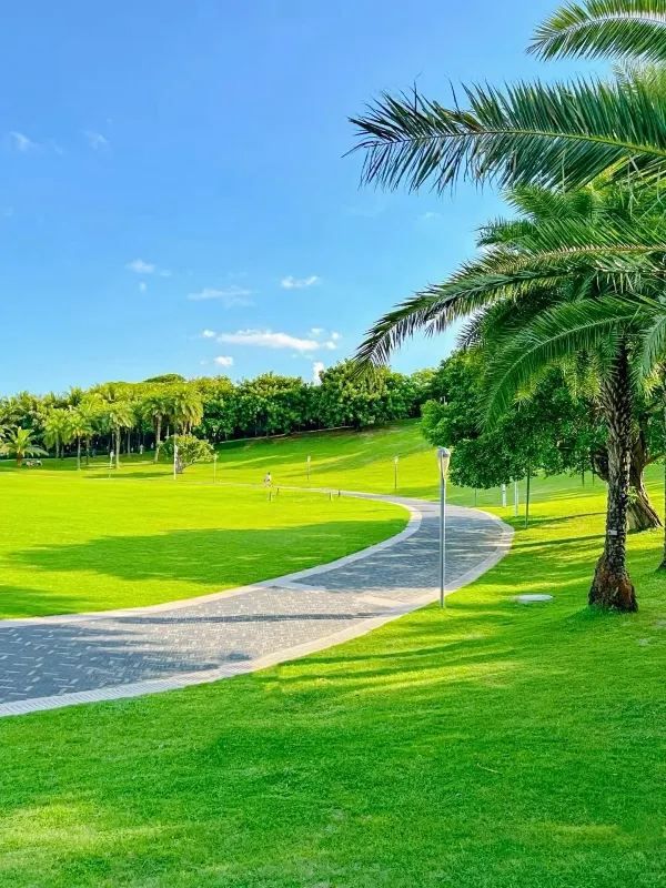 深圳灣公園⛲️怎么玩❓—-超詳細攻略奉上📜