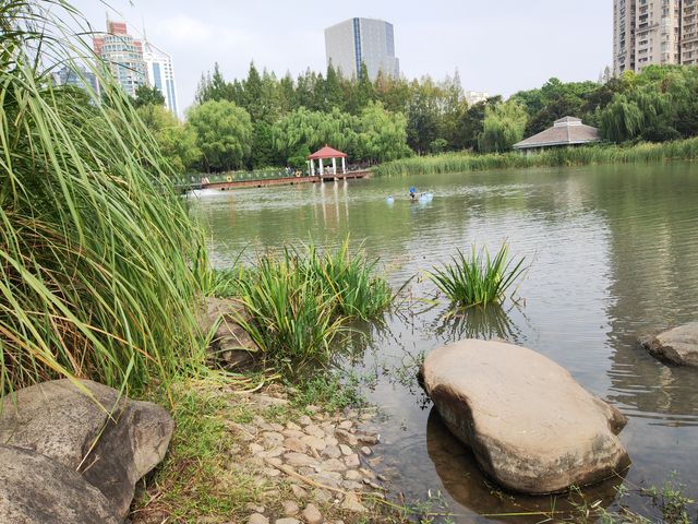新虹橋中心花園。