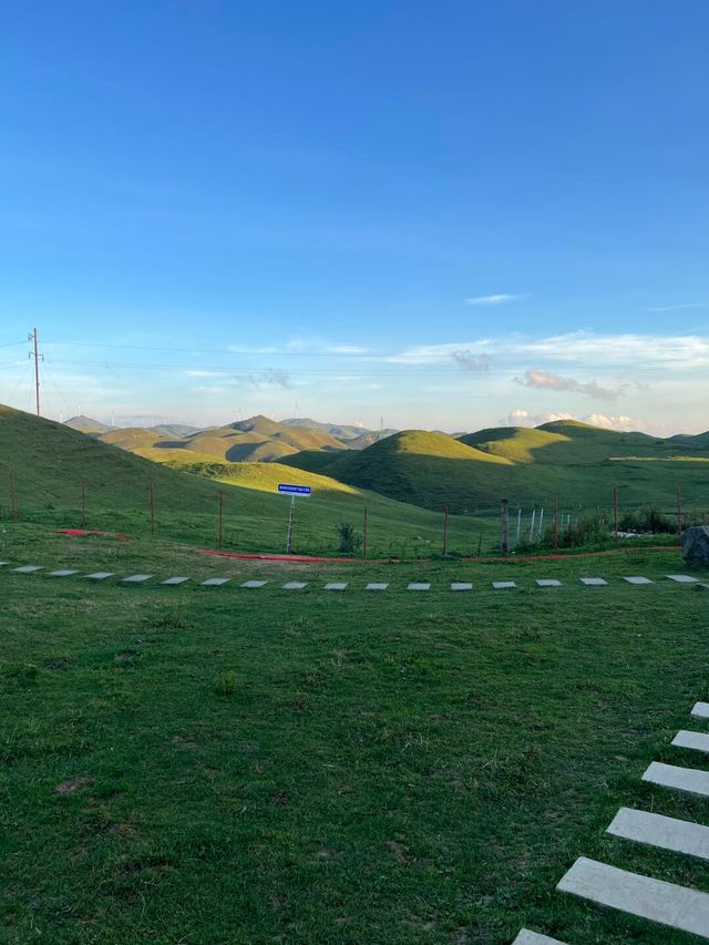邵陽南山牧場已回，能勸一個是一個。