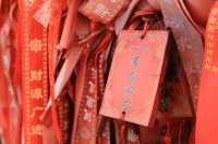 成都白雲寺｜一座祈禱很靈驗的寺廟～。