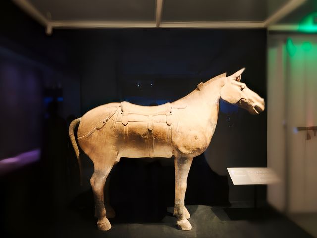 陝西歷史博物館秦漢館。