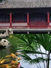 在鄭州夢溪園被我找到了。