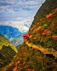 秋遊好去處，這個秋天一定要去巴山大峽谷！。